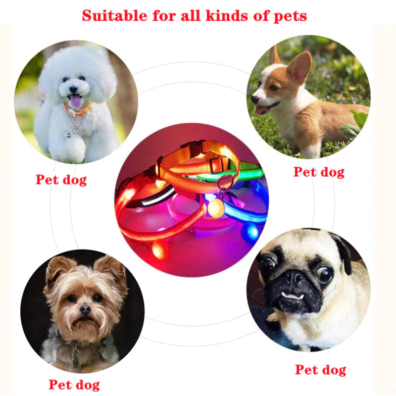 LED Adjustable Dog Collar with Blinking Flashing Light - Waterproof Safety Feature for Pets