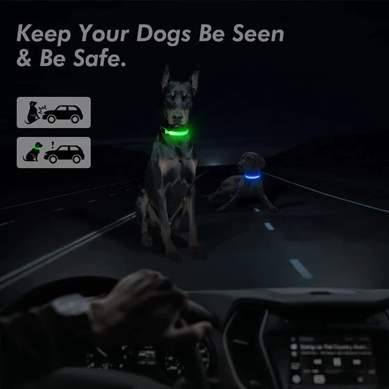 LED Adjustable Dog Collar with Blinking Flashing Light - Waterproof Safety Feature for Pets