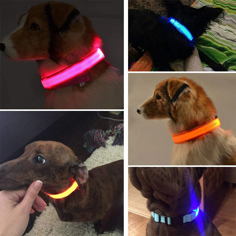 LED Adjustable Dog Collar with Blinking Flashing Light - Waterproof Safety Feature for Pets