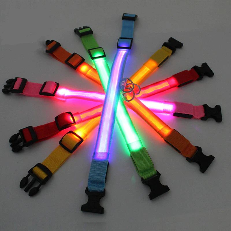 LED Adjustable Dog Collar with Blinking Flashing Light - Waterproof Safety Feature for Pets